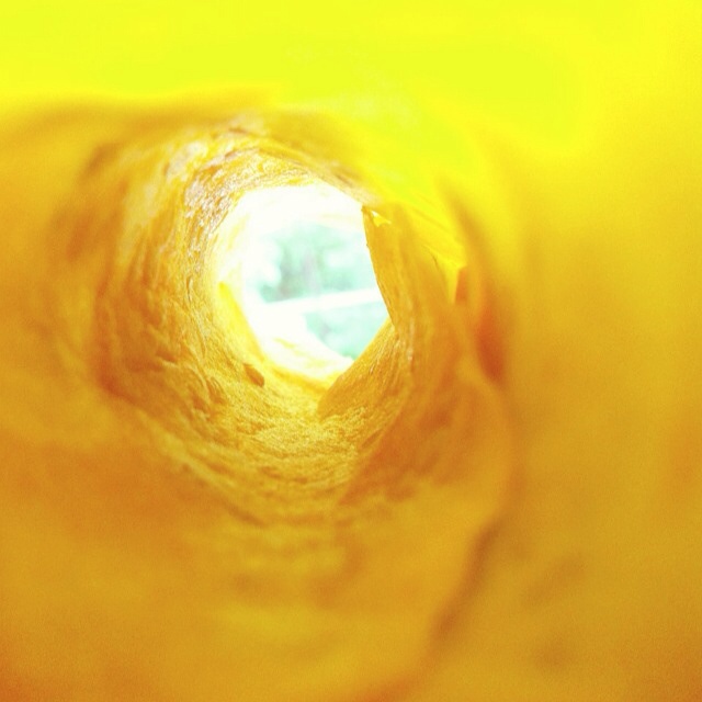 平底锅脆皮蛋卷