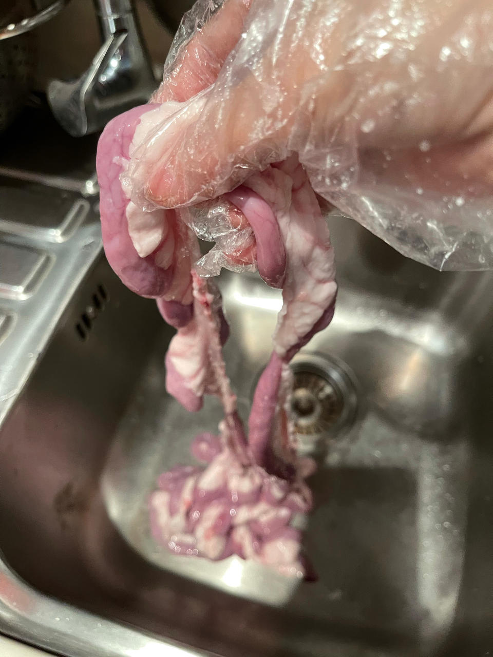 白灼粉肠