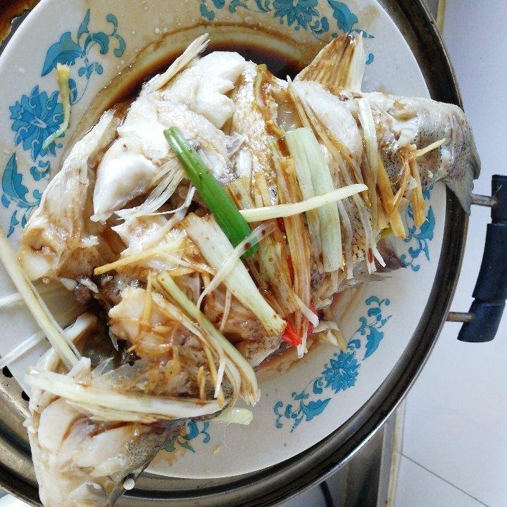 新手零失败的清蒸鲈鱼