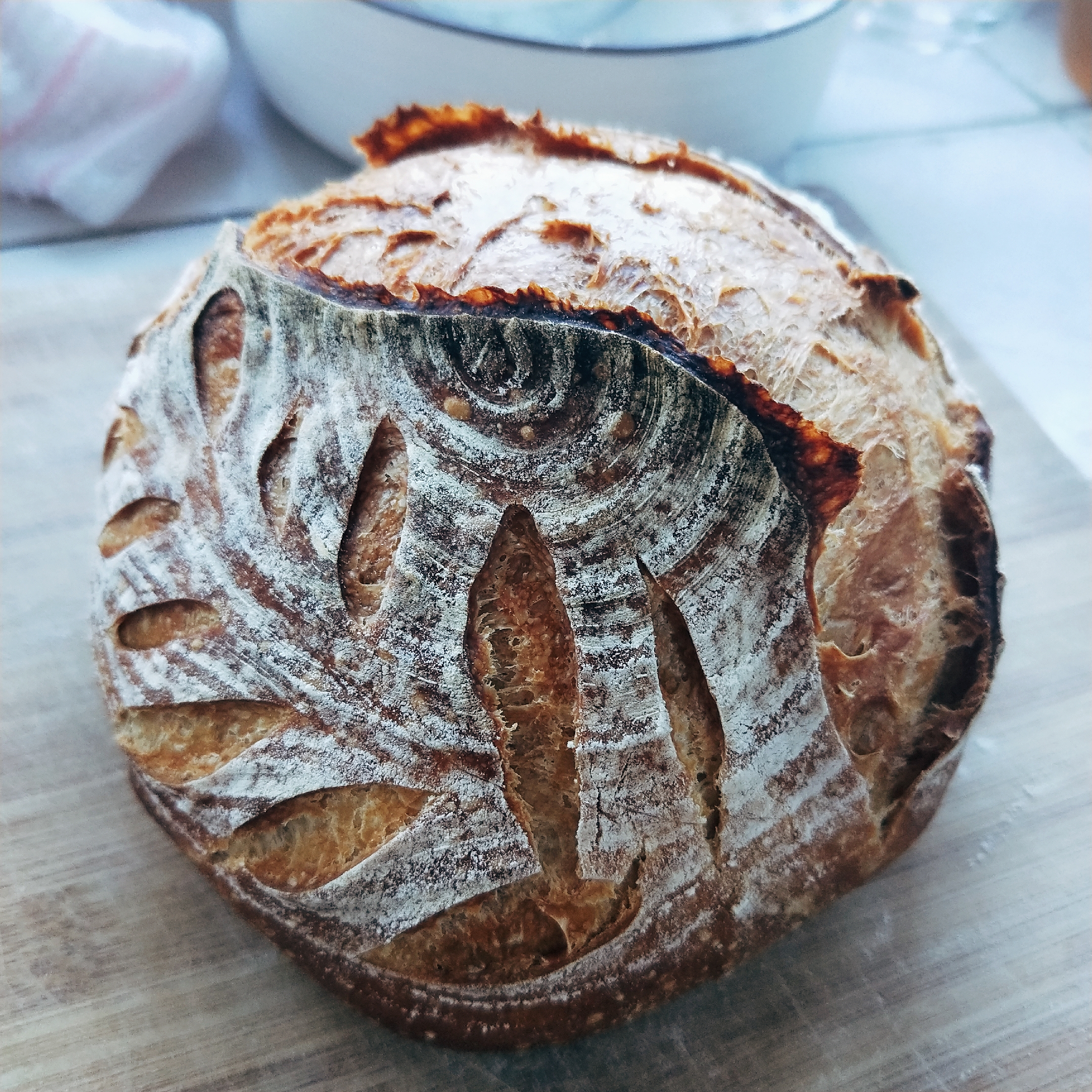 #100个欧包练习——免揉法式乡村面包的做法