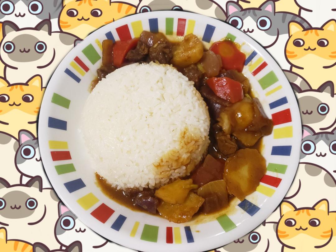 经典标准版咖喱土豆胡萝卜牛肉