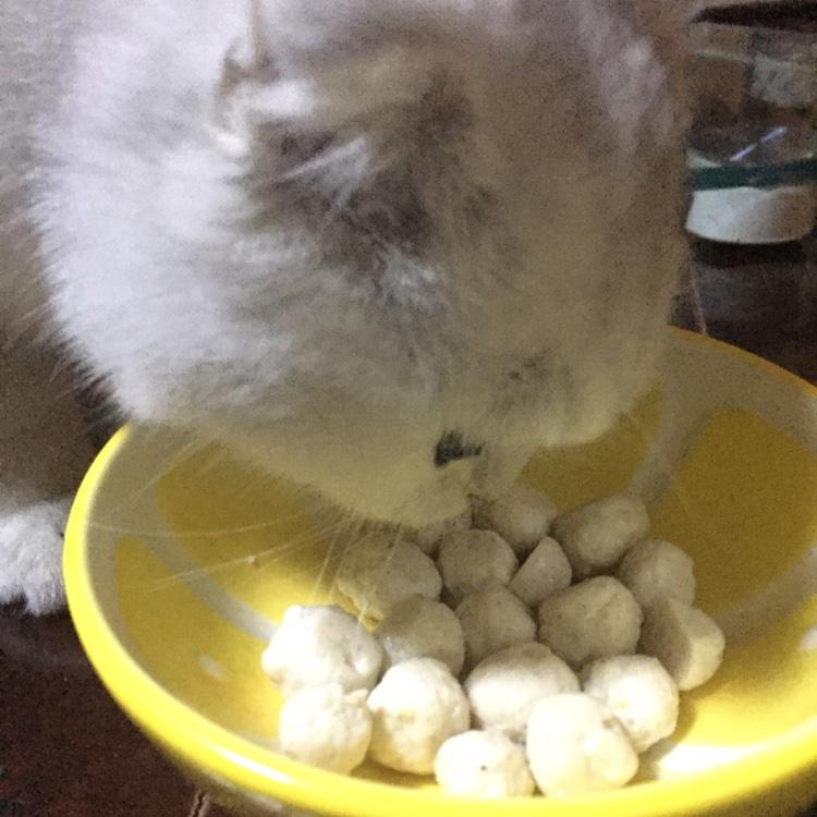 猫饭饭的做法