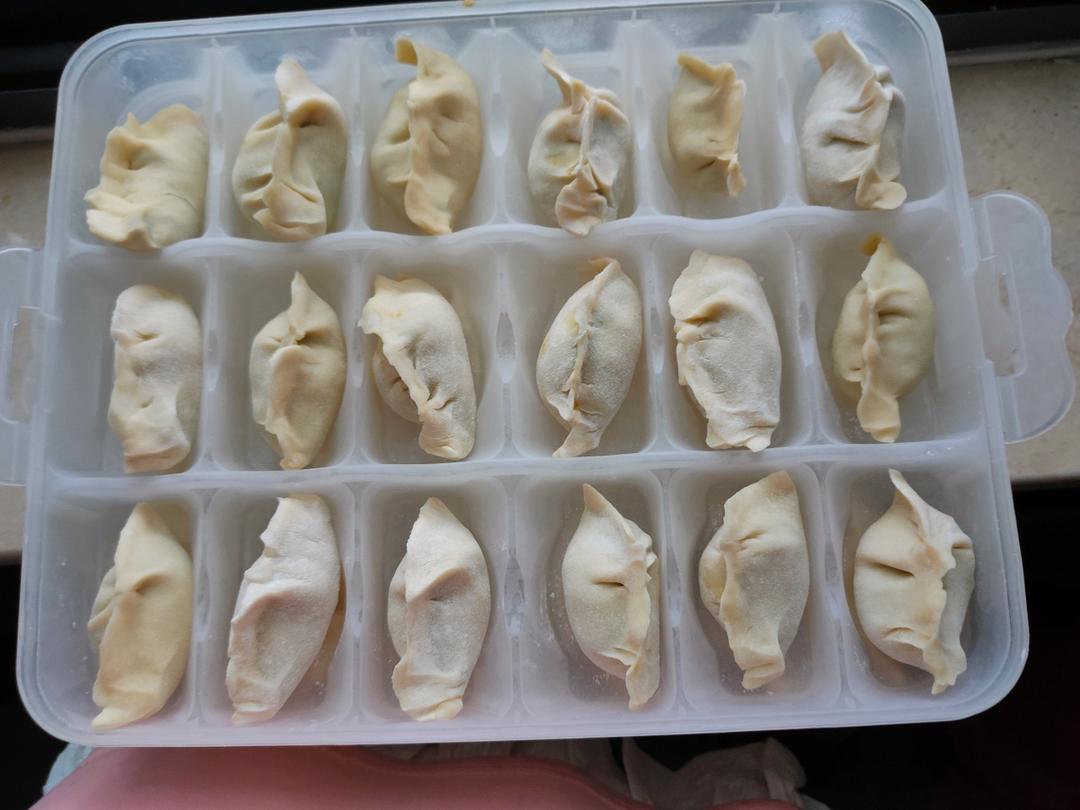 韭菜鲜肉馅饺子