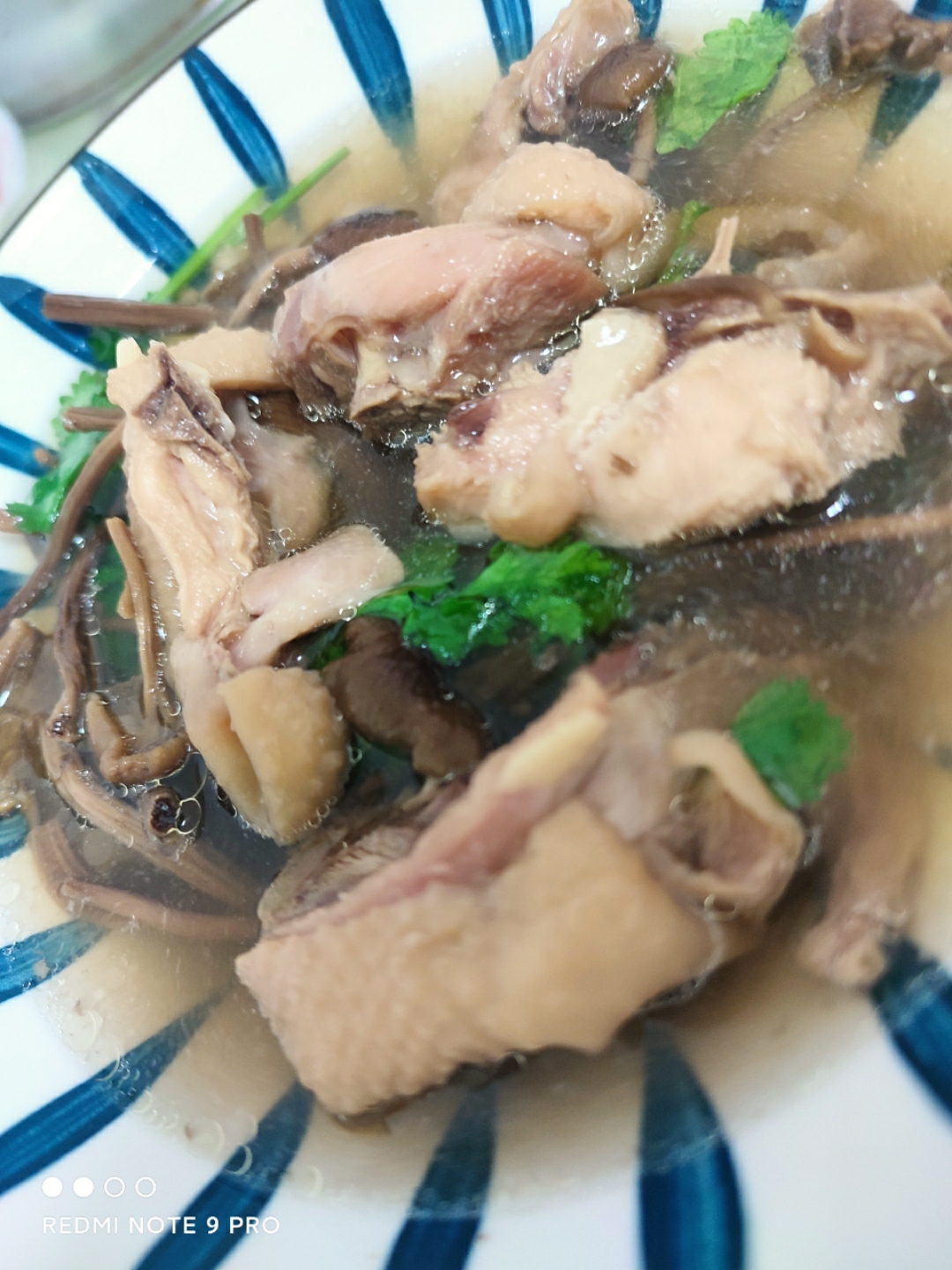 茶树菇鸭肉汤潮汕特色汤