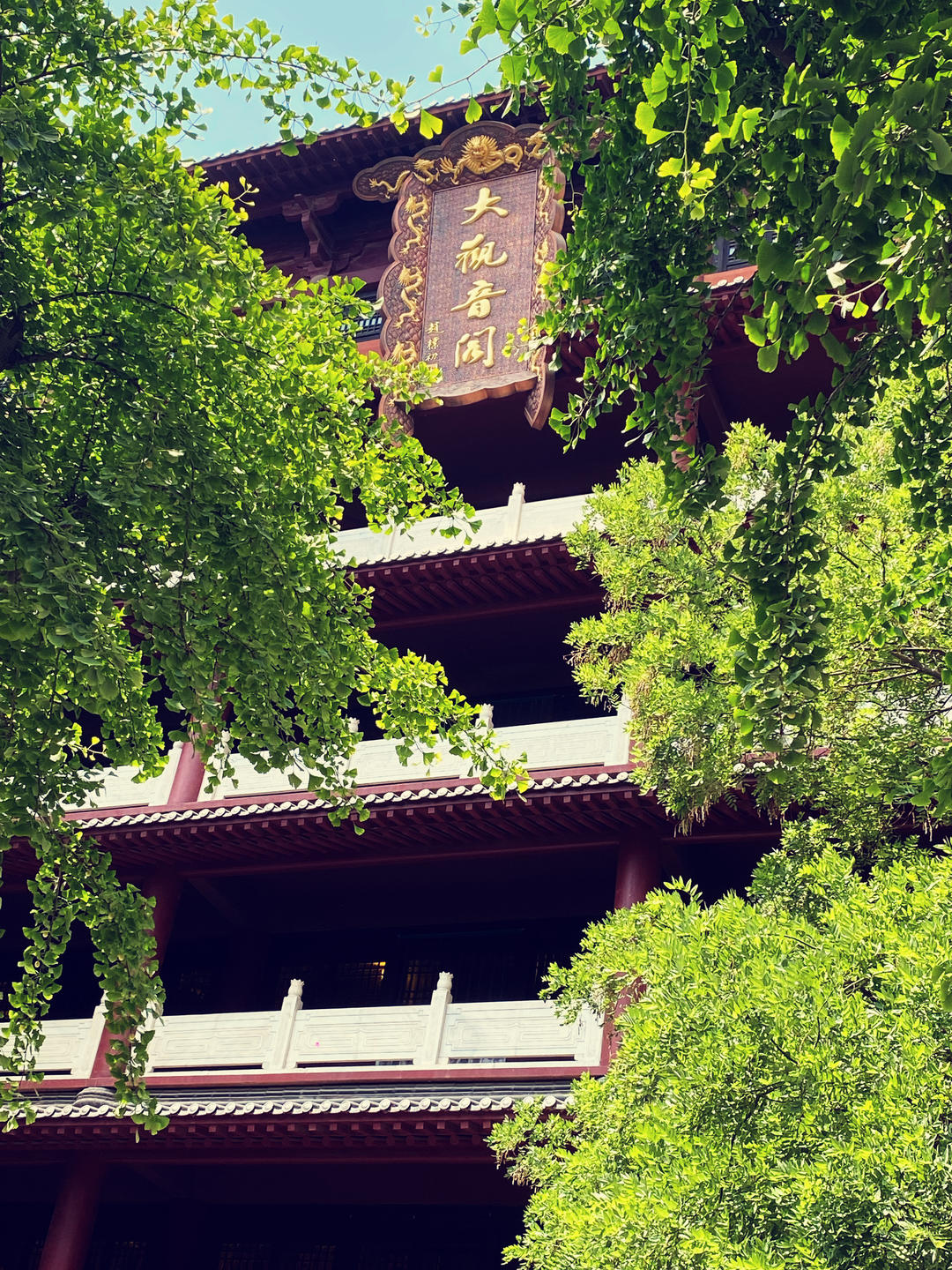 我救救急