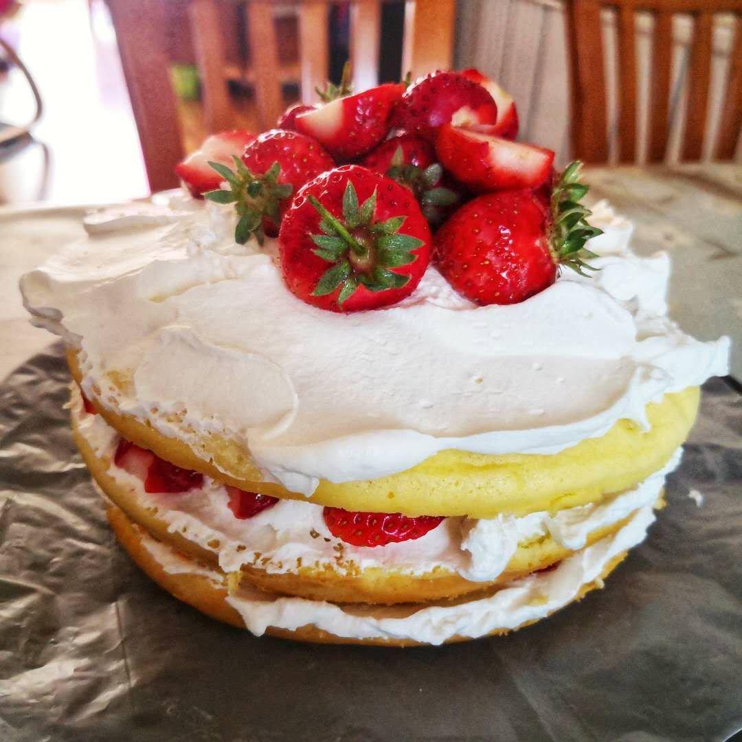 可可戚风水果裸蛋糕