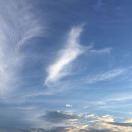 手机用户9068_6ijc