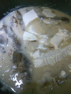 河鲫鱼塞肉＋豆腐汤的做法 步骤3