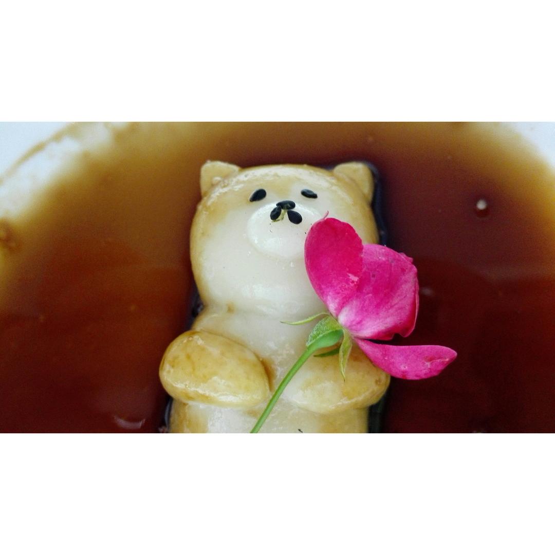 巨萌的柴犬团子