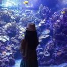 爱做饭可以不吃的女子