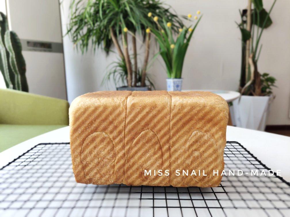 记录吐司🍞
