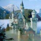 手机用户3248_cp3o