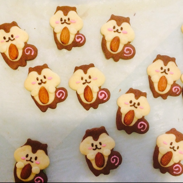 松鼠饼干