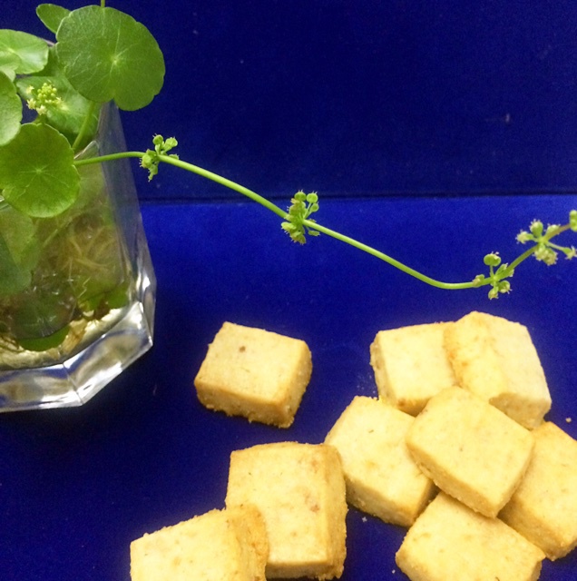 蓝罐曲奇配方分享