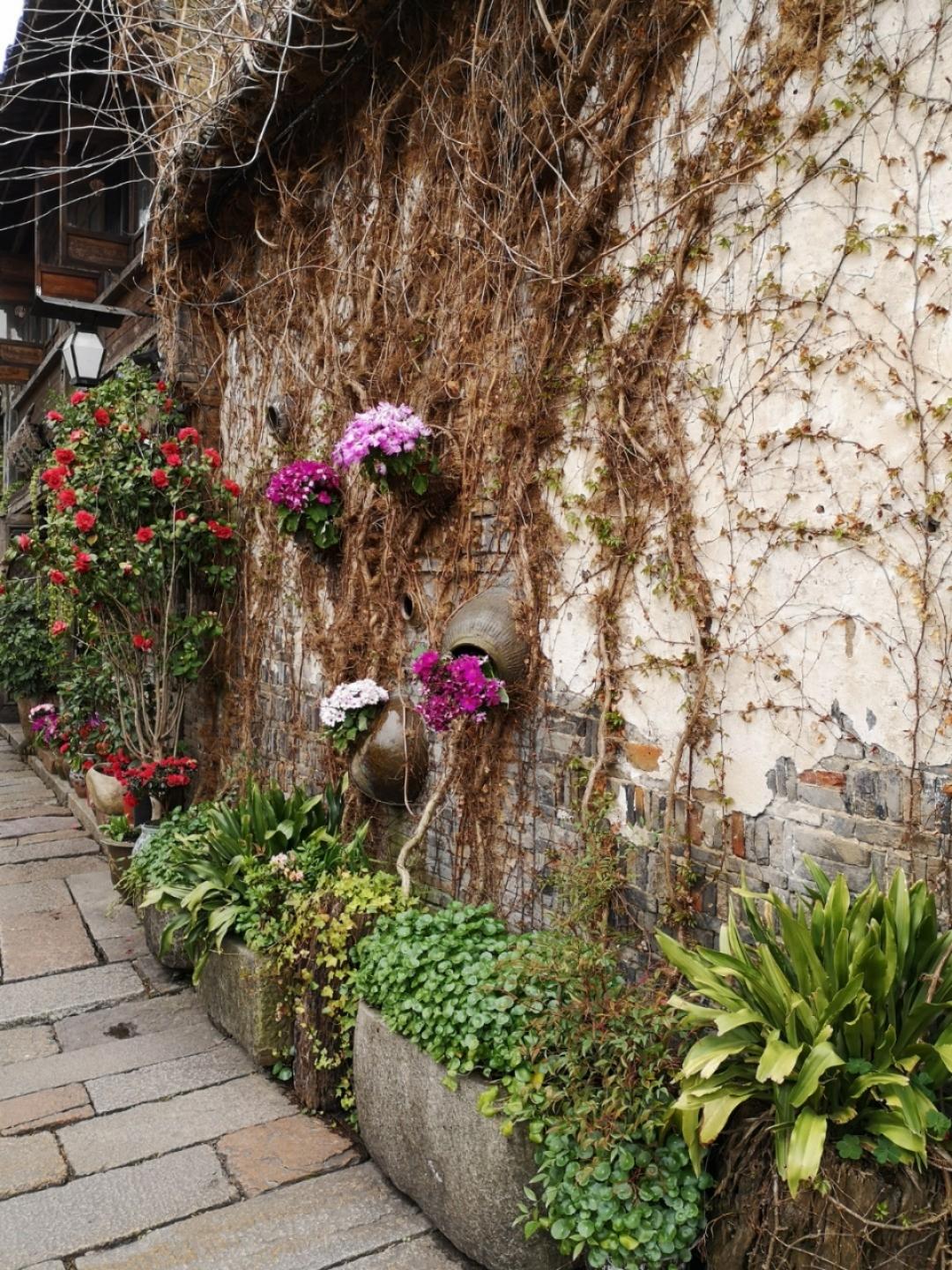 下厨房用户_l897d