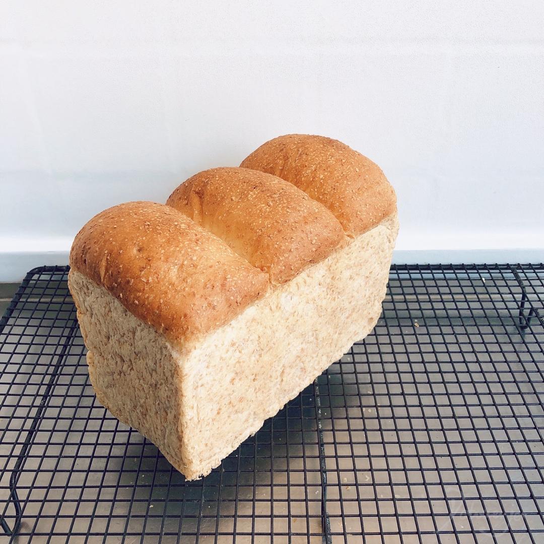 波兰种全麦吐司