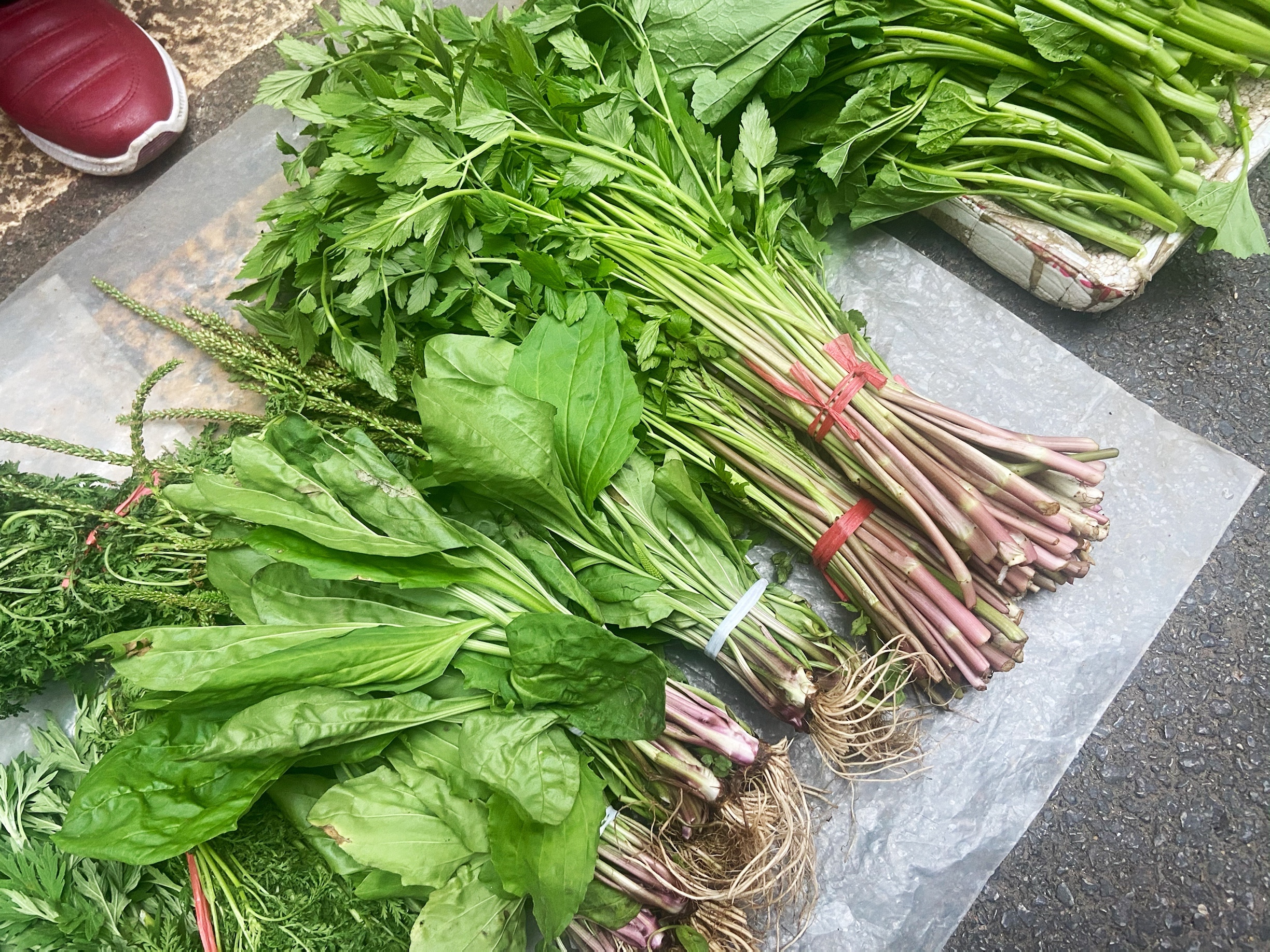 野芹菜炒鳝鱼（把春天吃进肚子里）的做法 步骤1