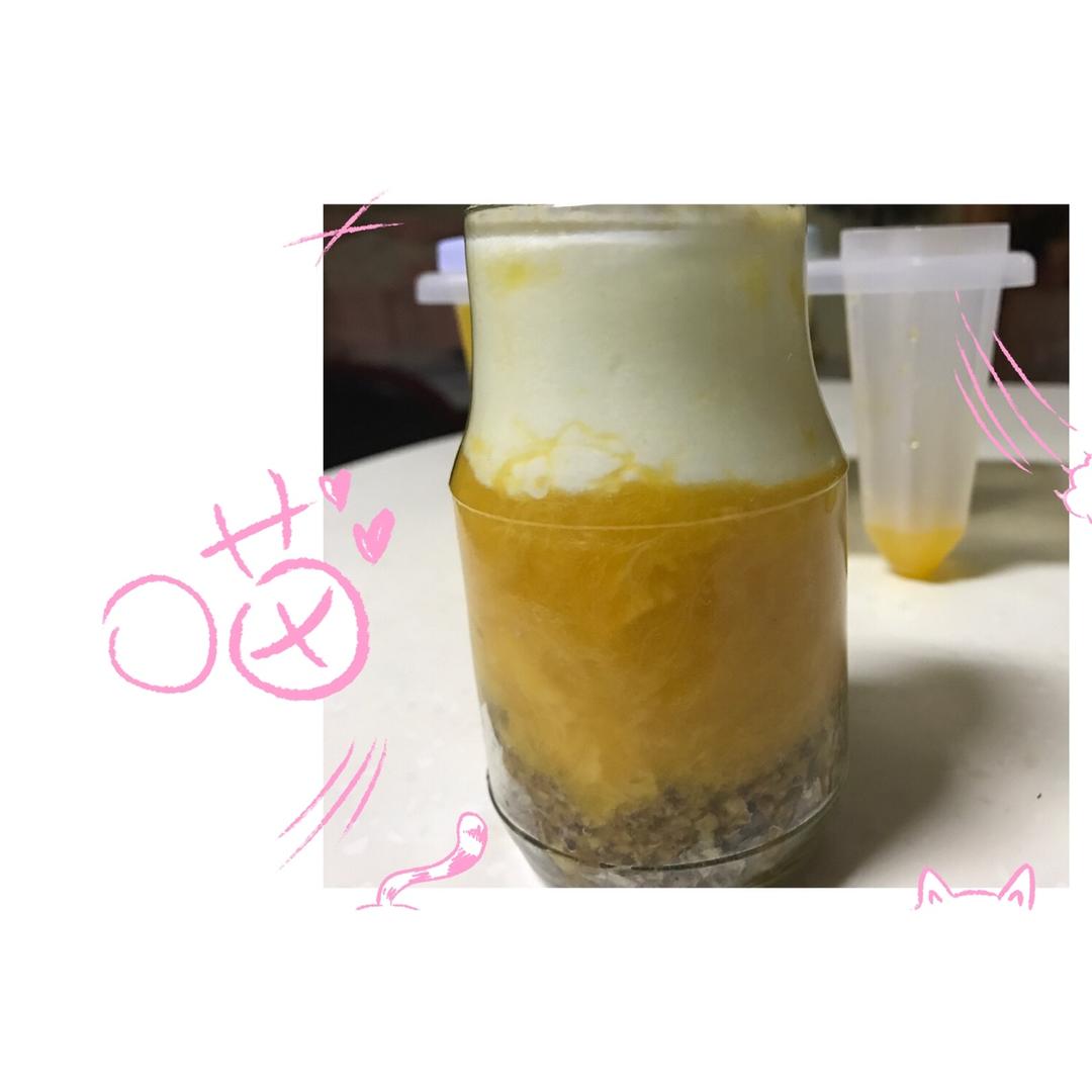 芒果酸奶随心杯