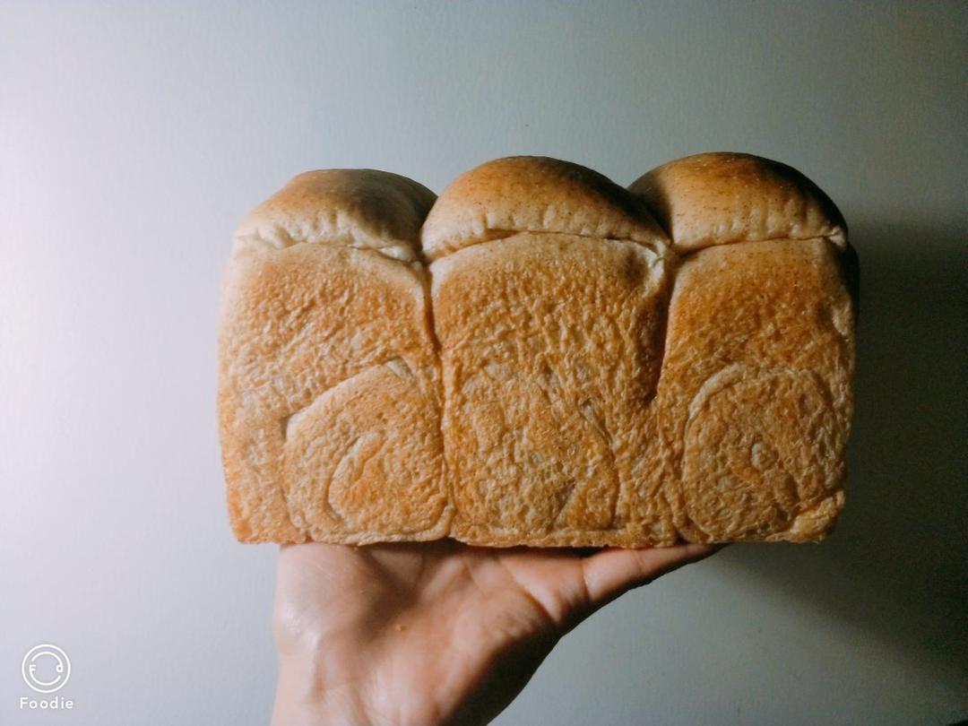 橄榄油白白吐司--无蛋无奶