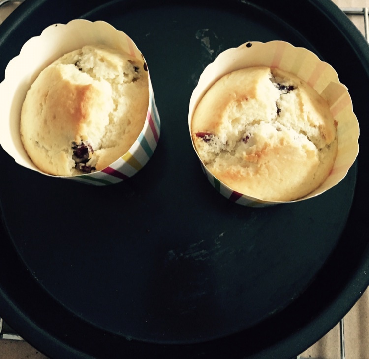 蔓越莓麦芬蛋糕