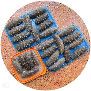 淡干海参的泡发的做法 步骤4