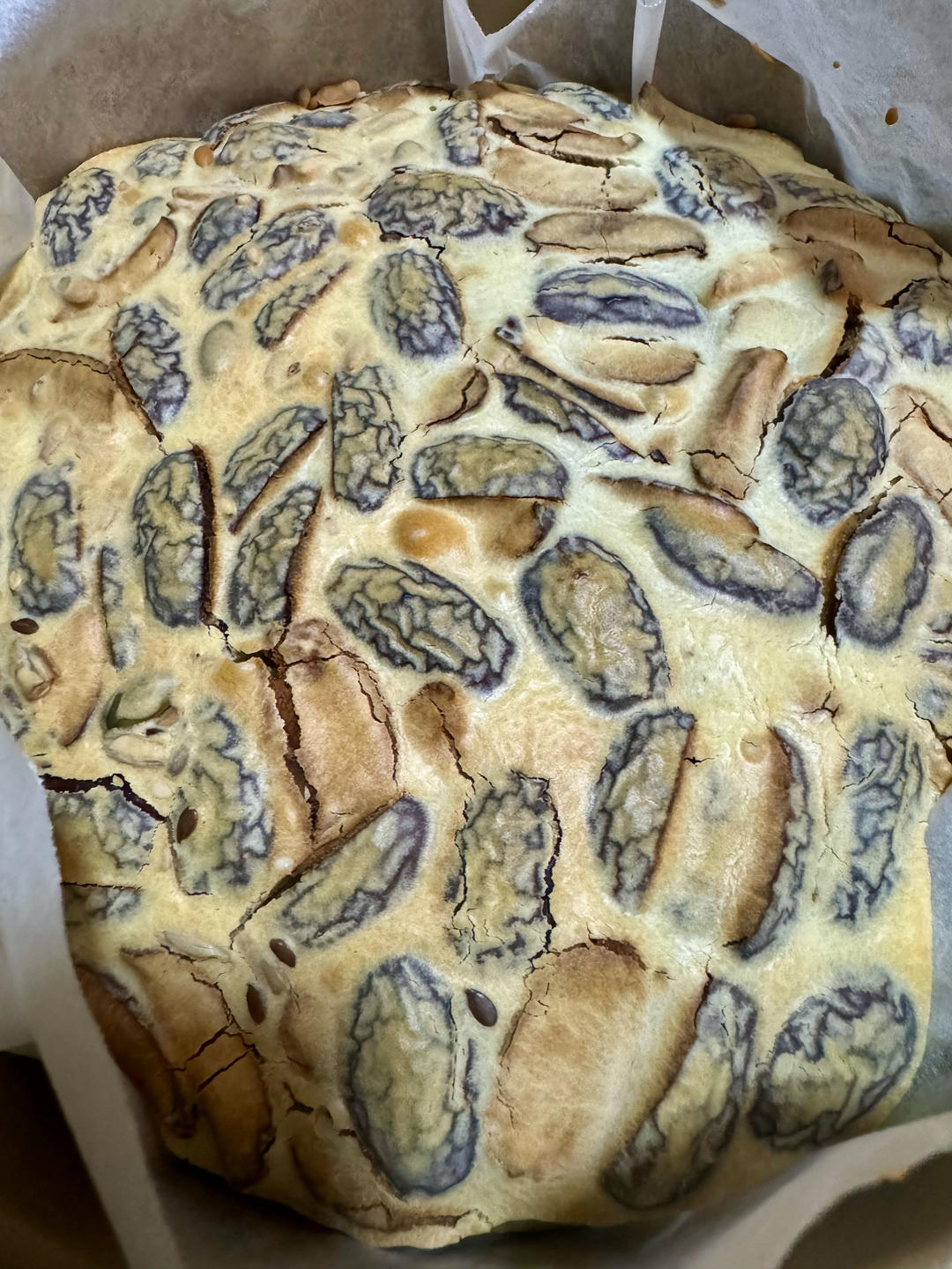 红枣烤年糕，贵妃糕，糯米糕