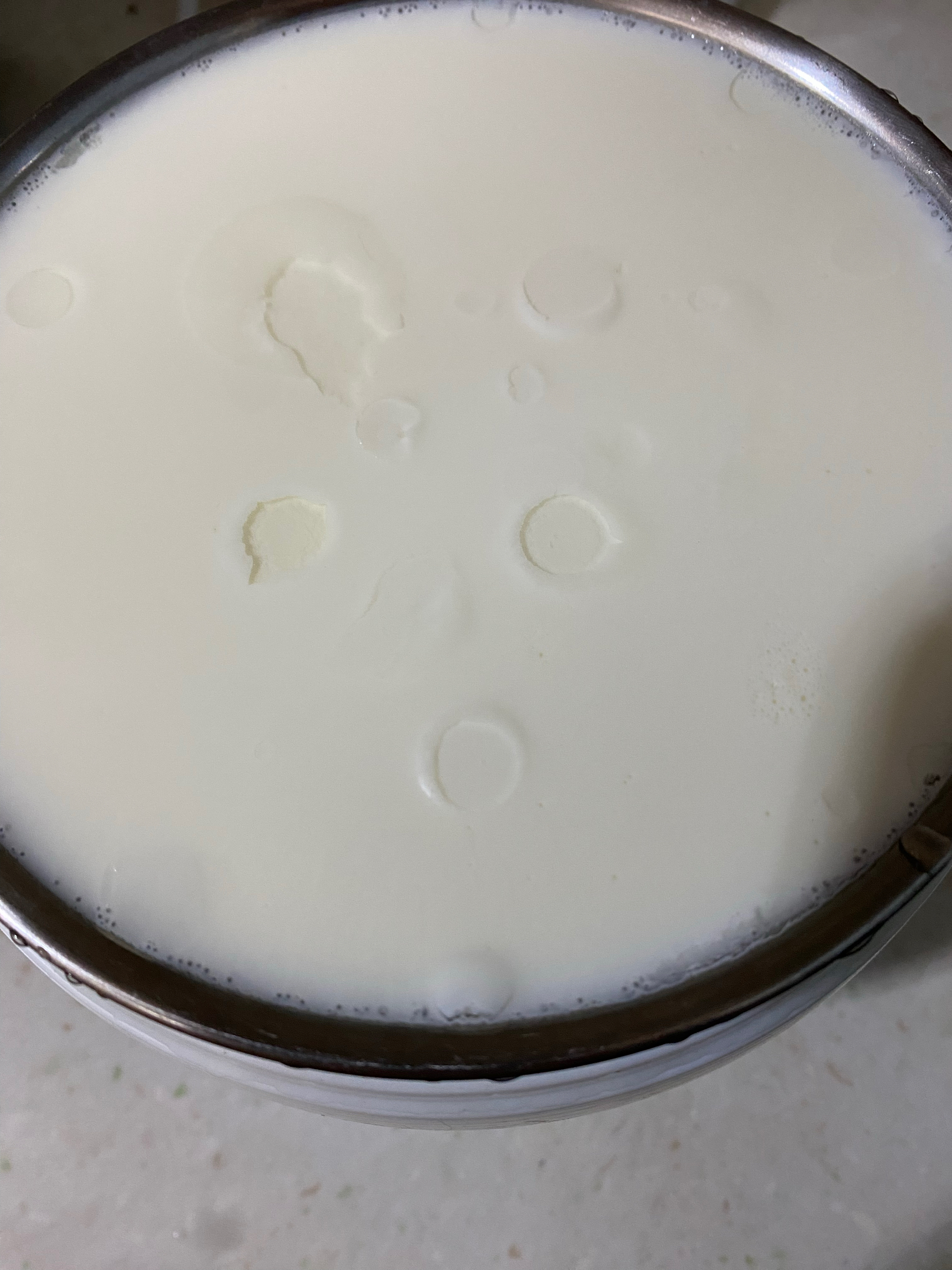 自制浓稠酸奶的做法 步骤8