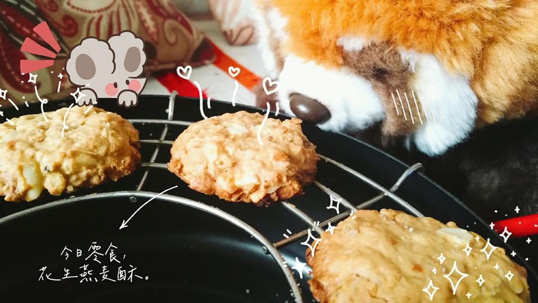 燕麦花生酥2.0版丨健康·零食<好好吃饭6>