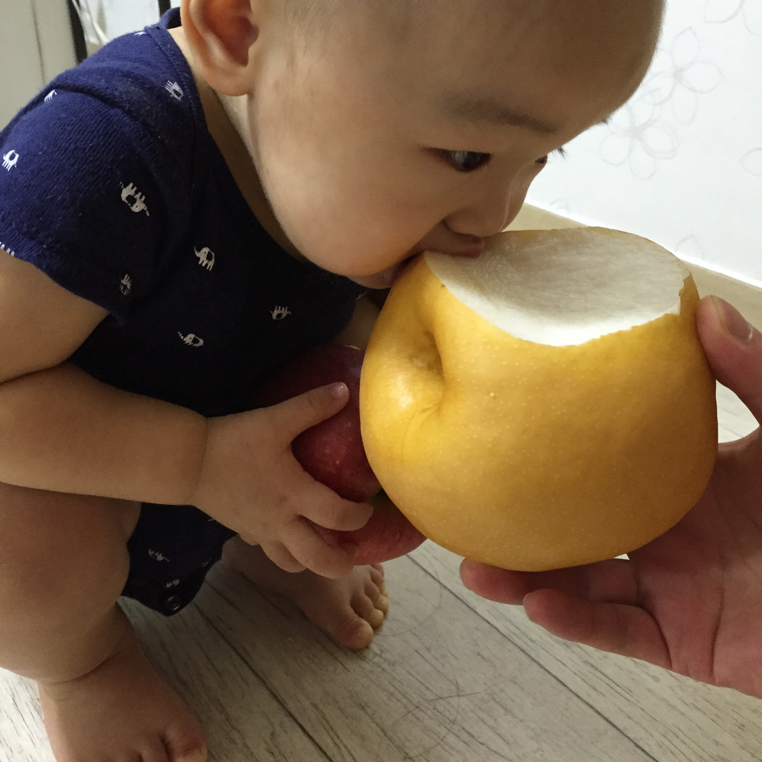 Ollie的辅食