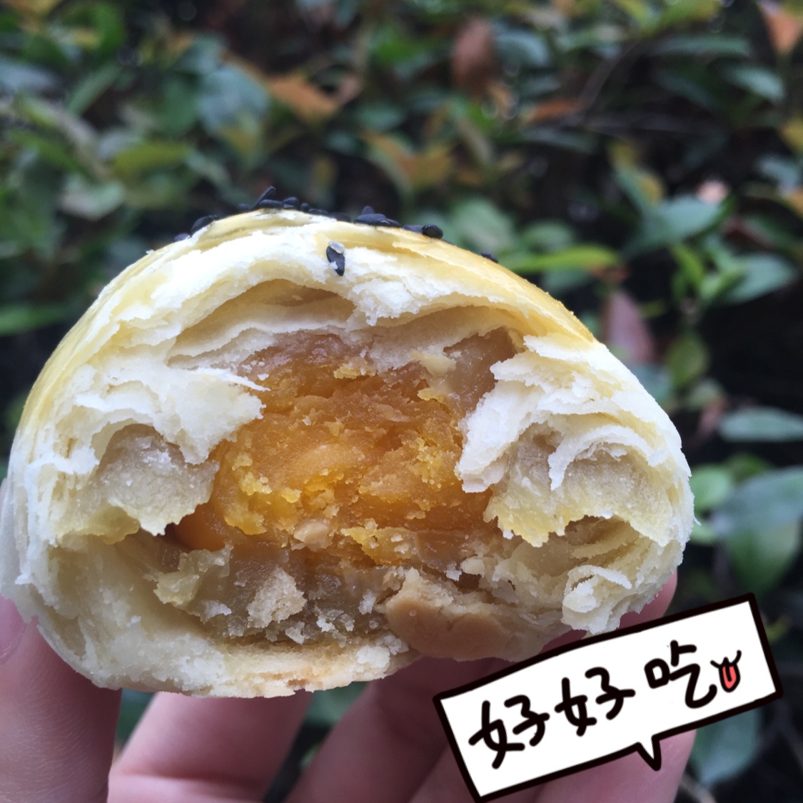 蛋黄酥酥酥（超级奶香黄油版）