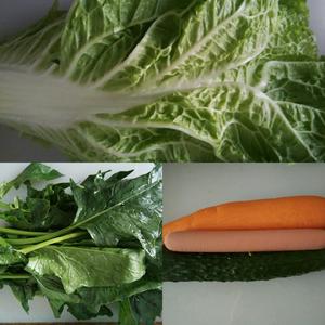 蔬菜卷的做法 步骤1
