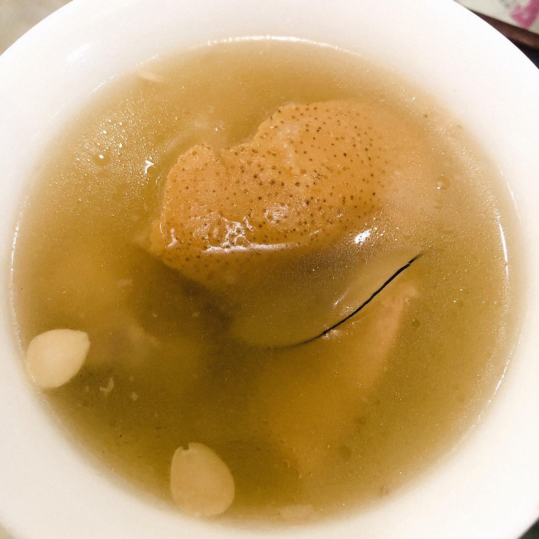 梦诗ff做的海底椰瘦肉润肺汤
