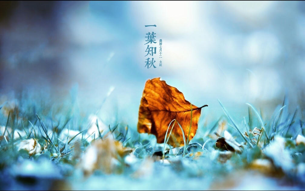 单衣1127