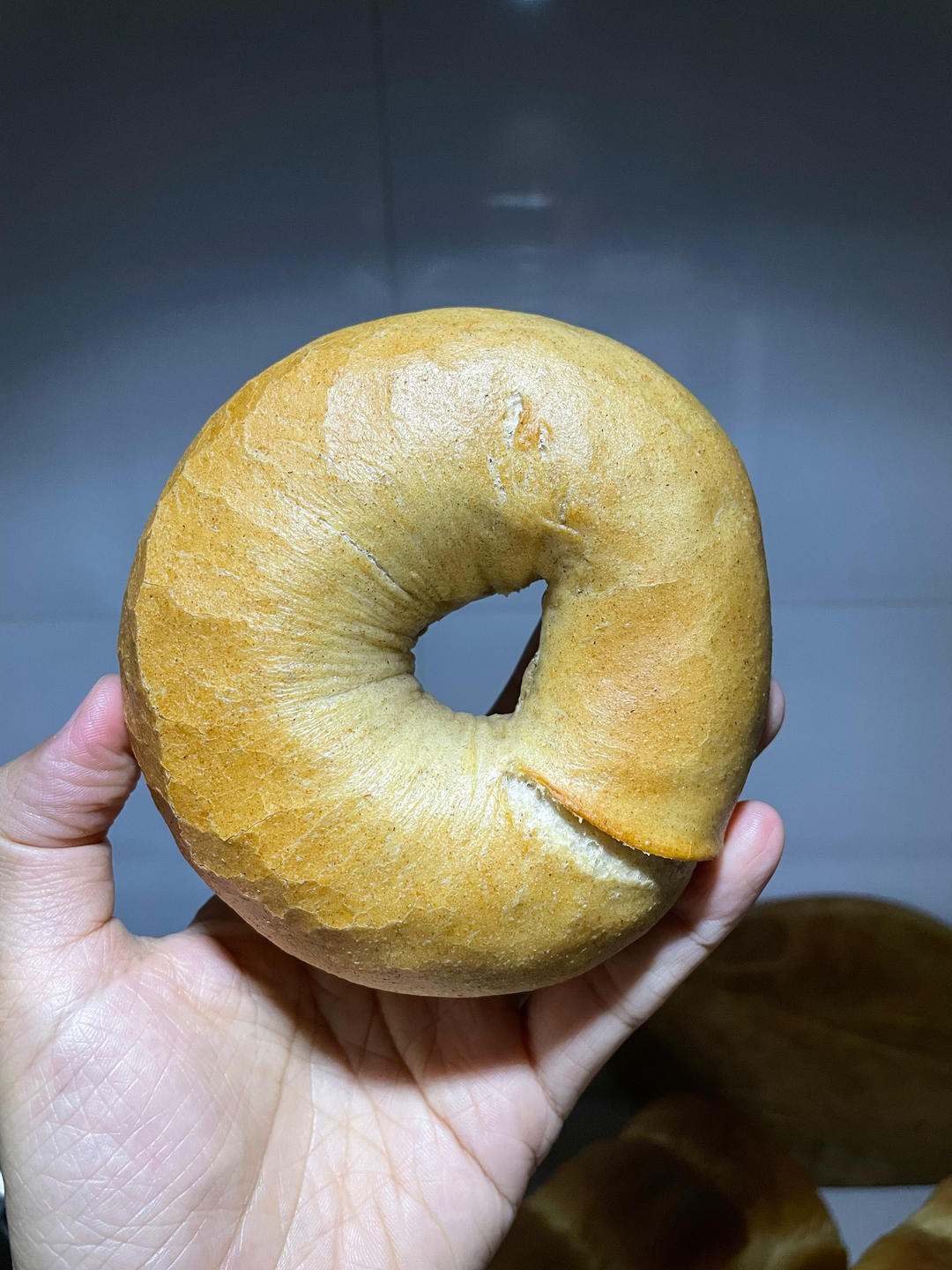 基础黑麦贝果（黑麦波兰种）