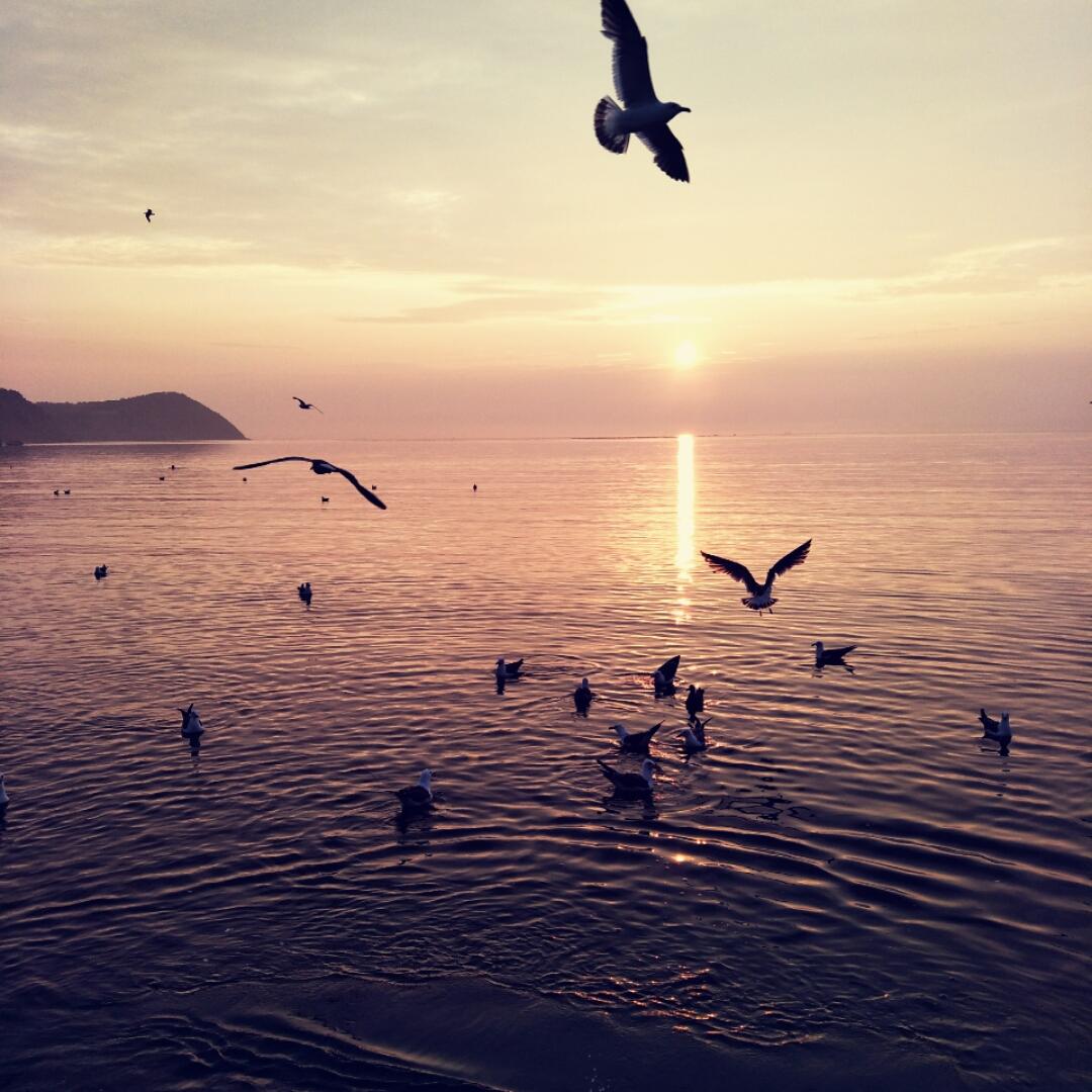 做好吃的给大肉肉