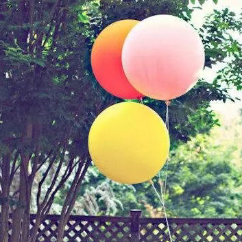 吃货猫猫爱美食