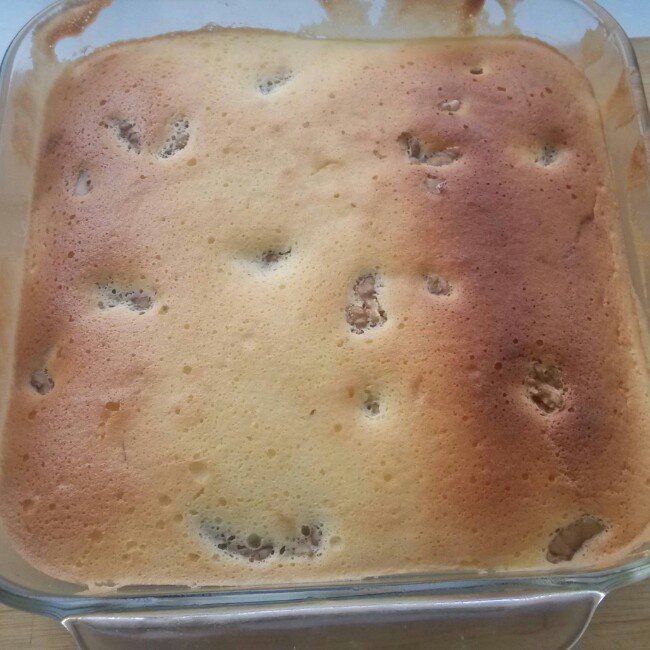 轻负担酸奶蛋糕