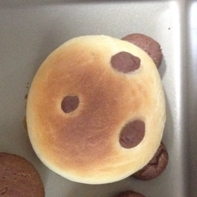 熊猫面包
