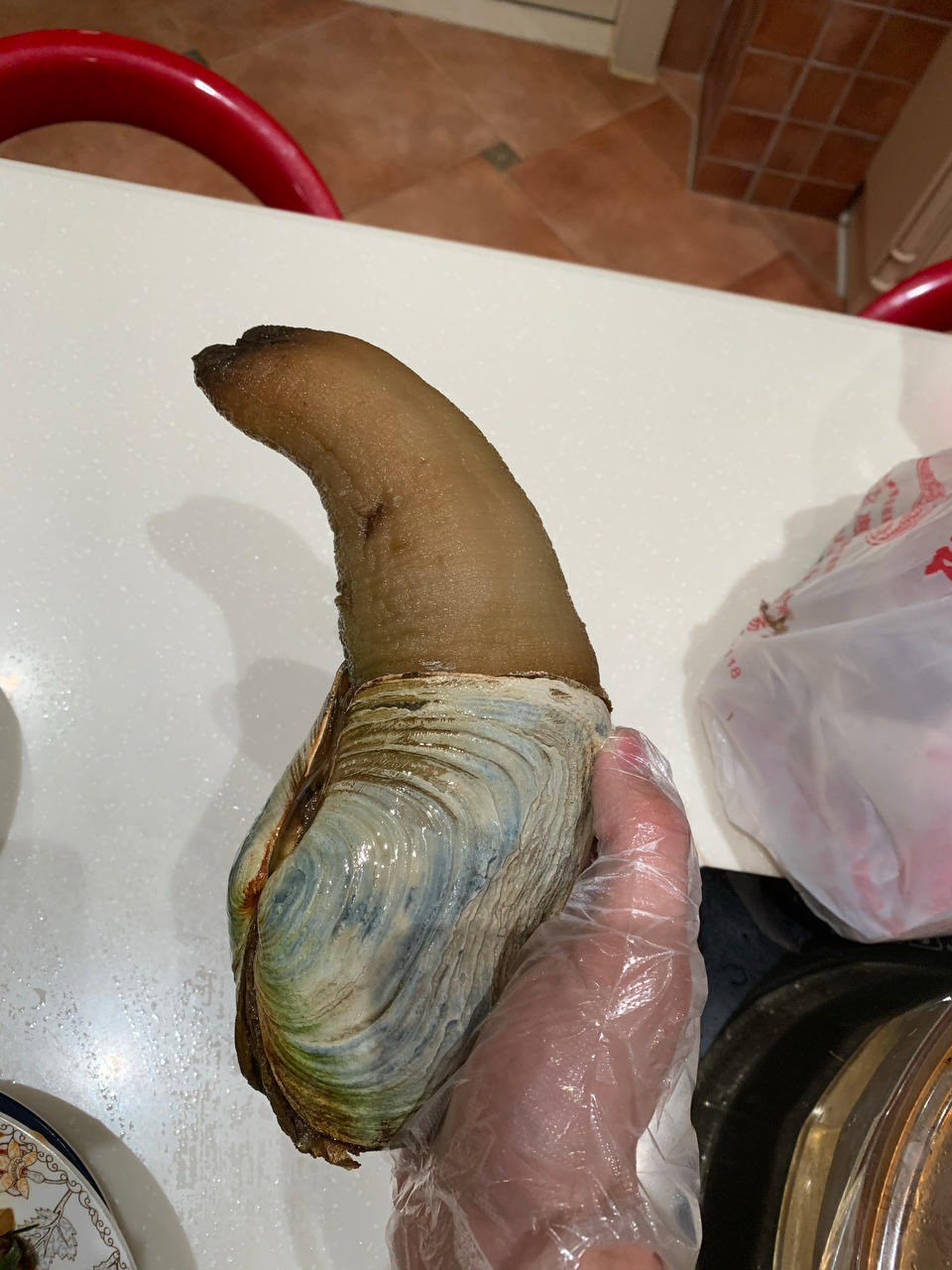 爆炒象拔蚌