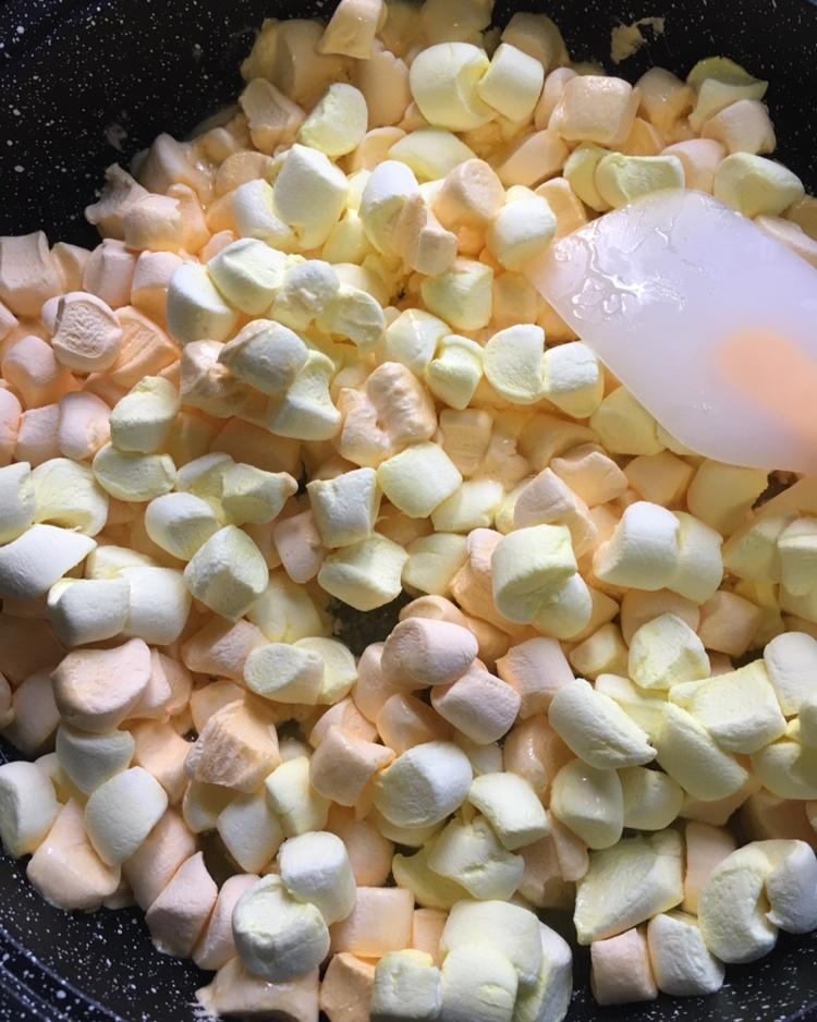 《Tinrry+》水果雪花酥（榴莲芒果、椰子）