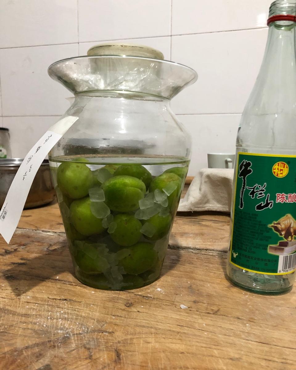 【青梅酒】梅子的沉醉时光（已填坑）