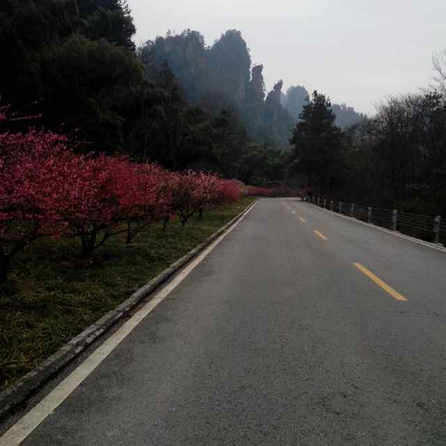 汪金蓉