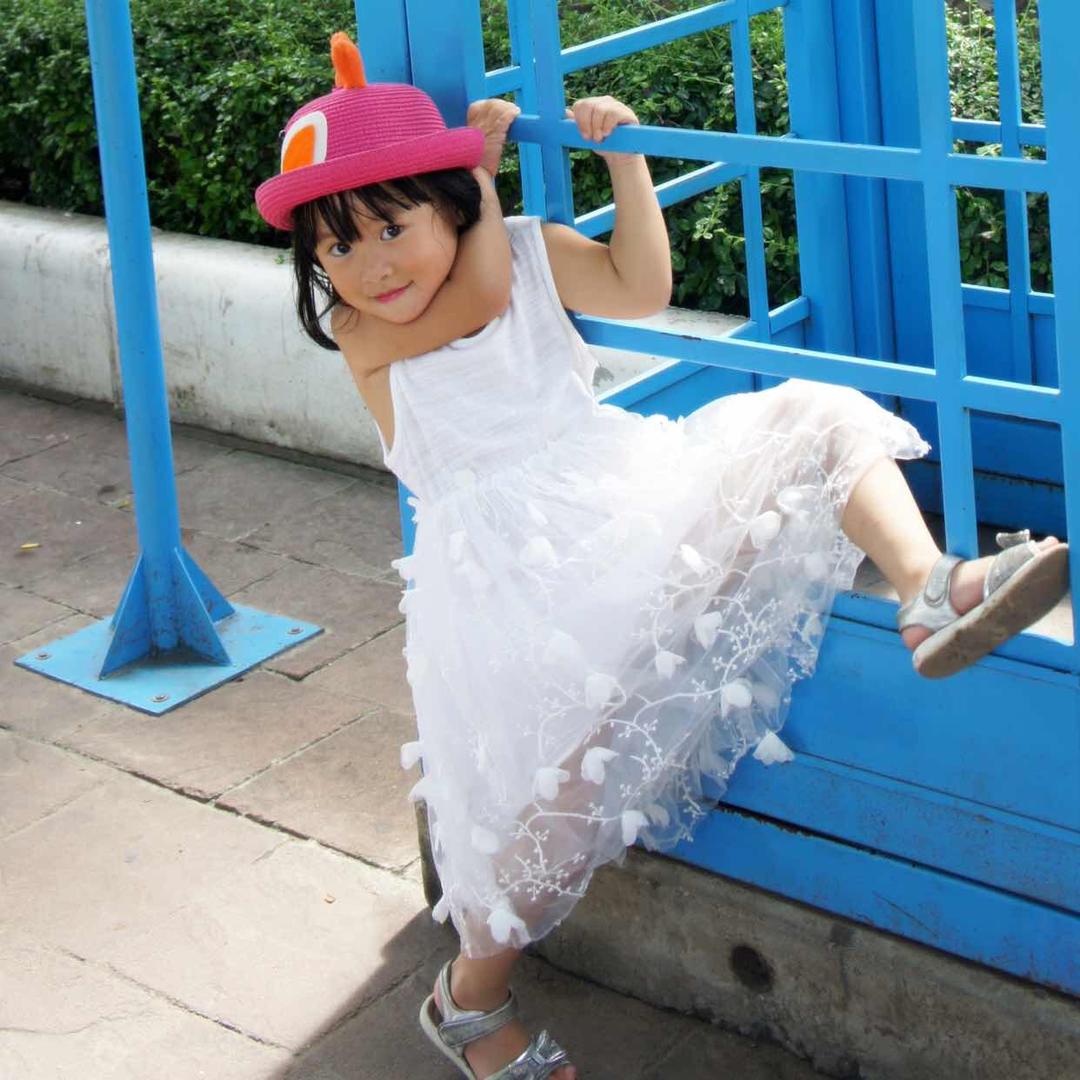 ameijolin