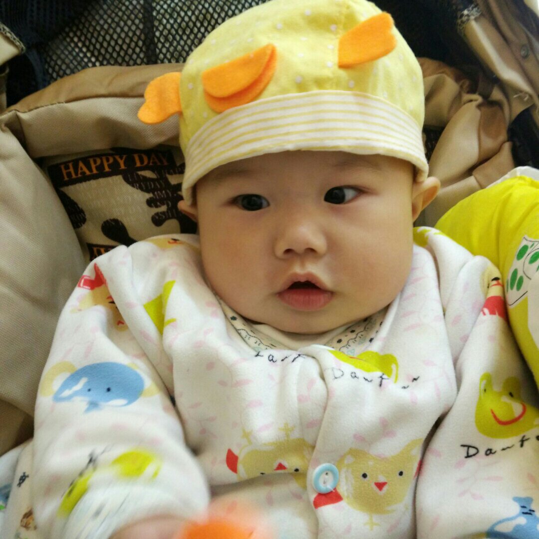 晓晓雯