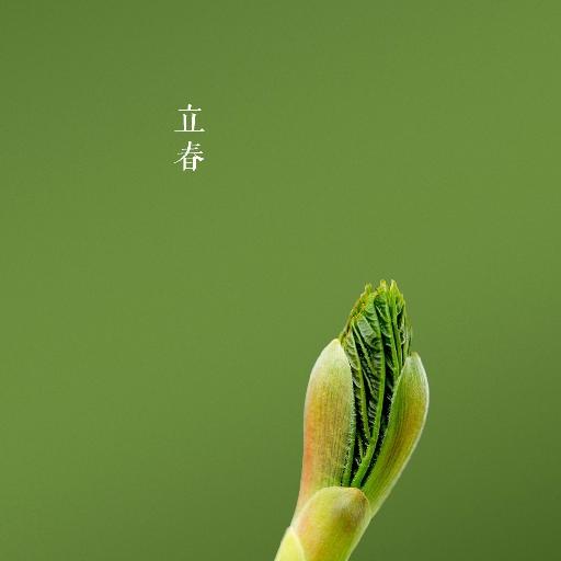 屑屑