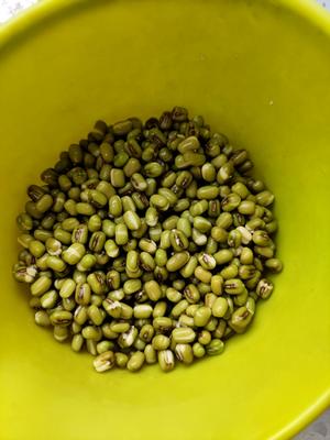 自发绿豆芽的做法 步骤1
