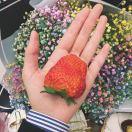 别从我的碗里出去