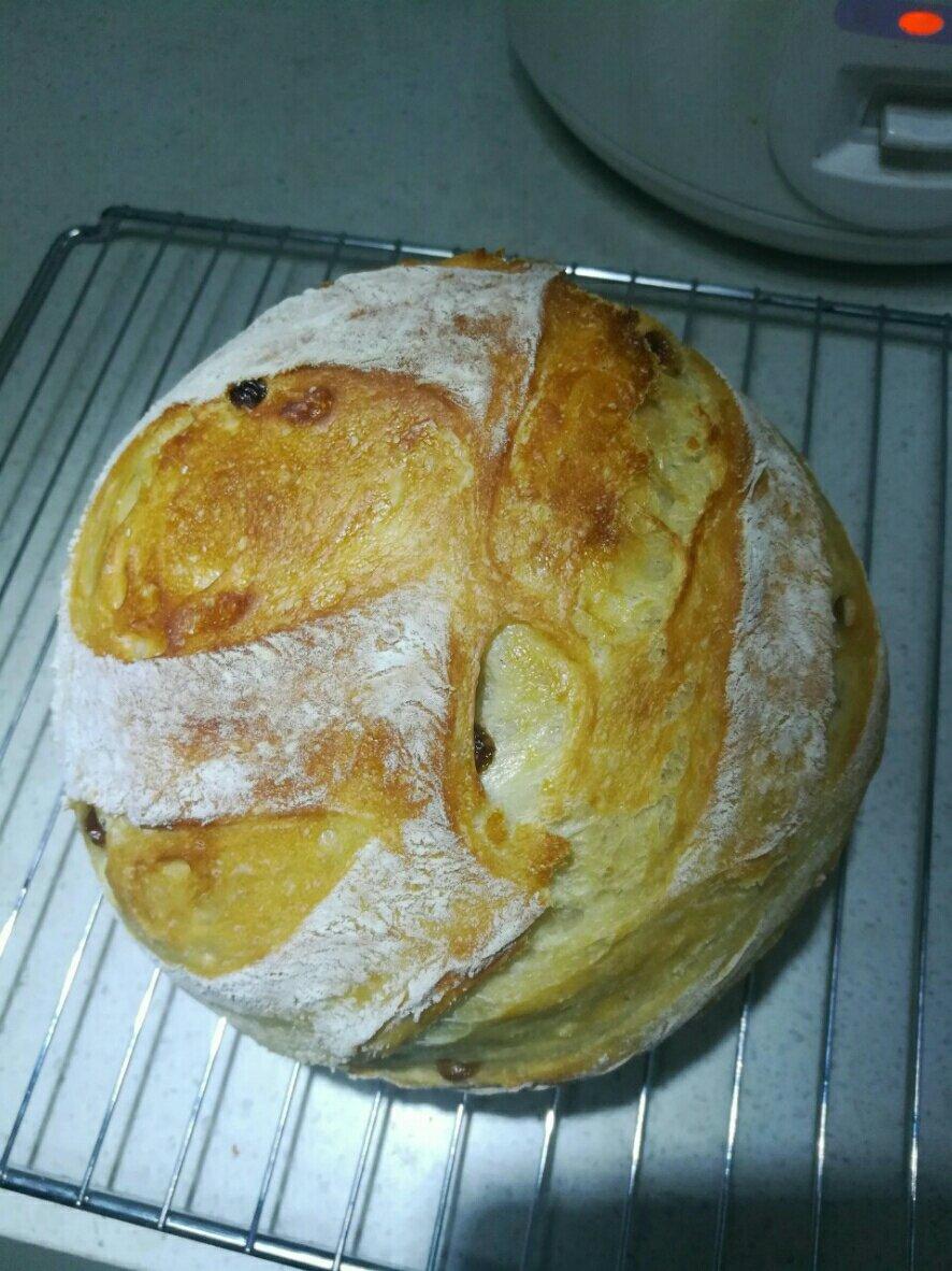 欧包/乡村面包-无油不用揉 No Knead Bread