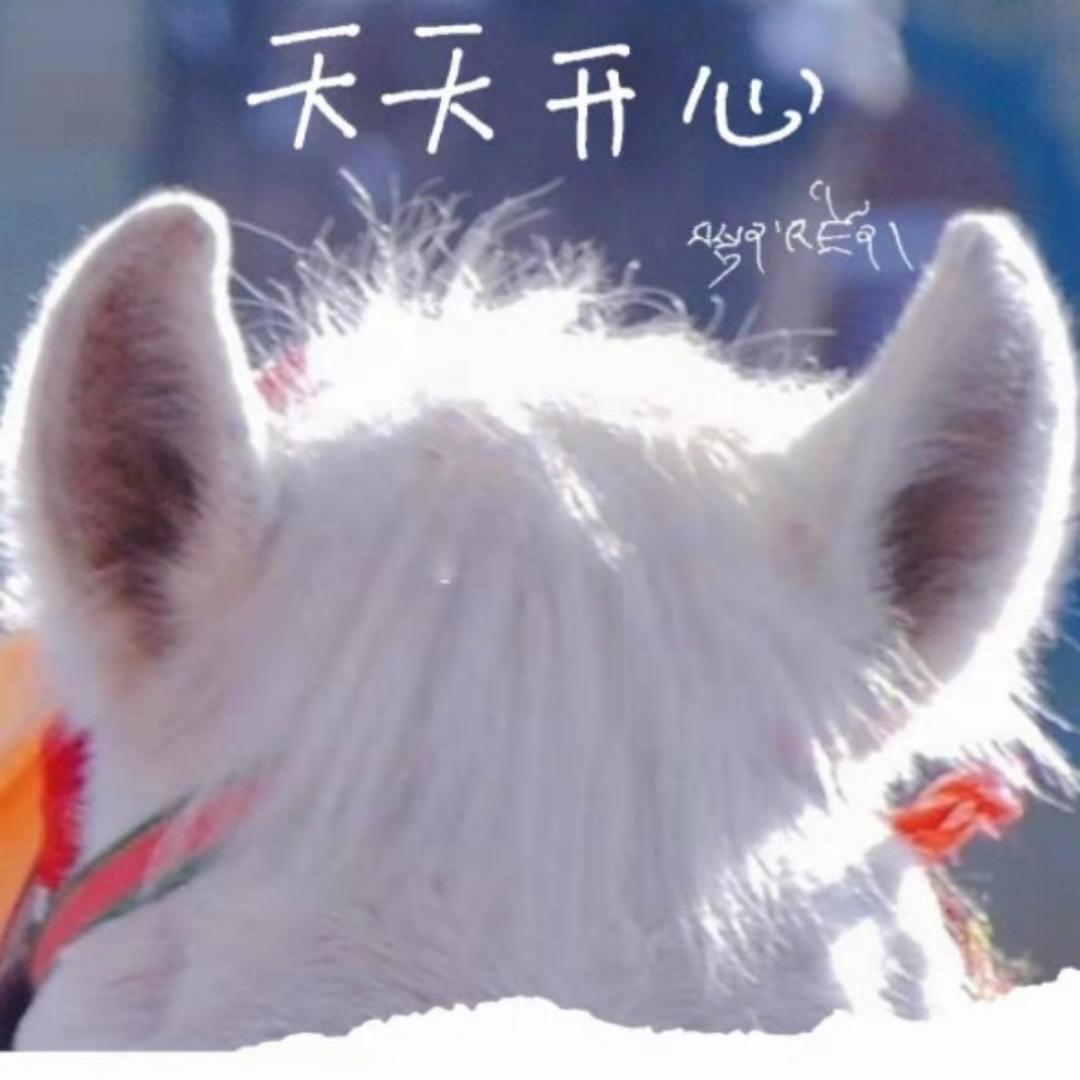 小庄厨师