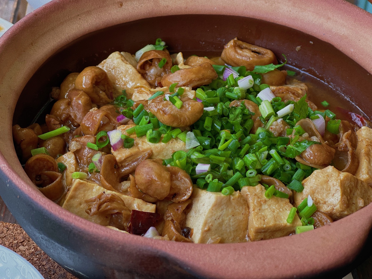 家庭美食必备！砂锅肥肠炖豆腐，口感鲜嫩香浓，轻松烹饪享受